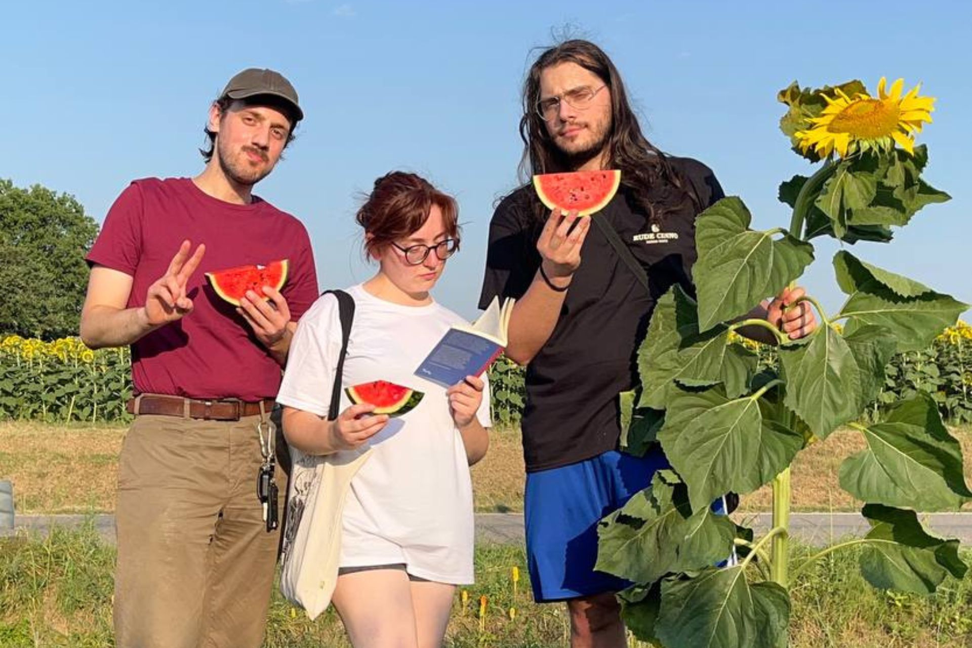 I Rude Cinno in un campo di girasoli